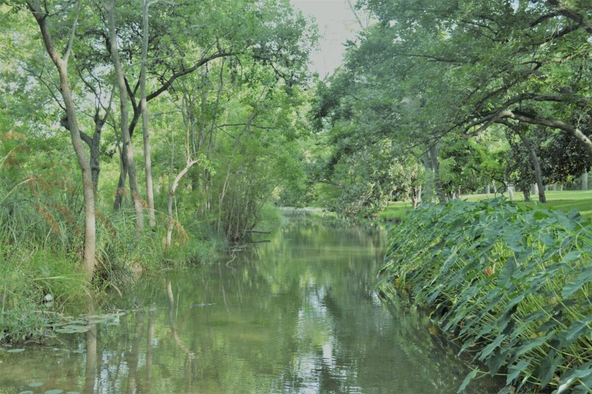 Messina Inn Wimberley Oda fotoğraf